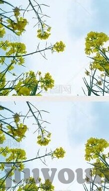 球探网足球比分结果-球探网足球比分速递，数据背后的战术博弈与绿茵场风云