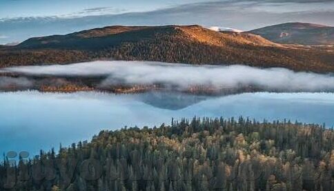 足球比分s 90-足球比分S90，绿茵场上的数字交响曲