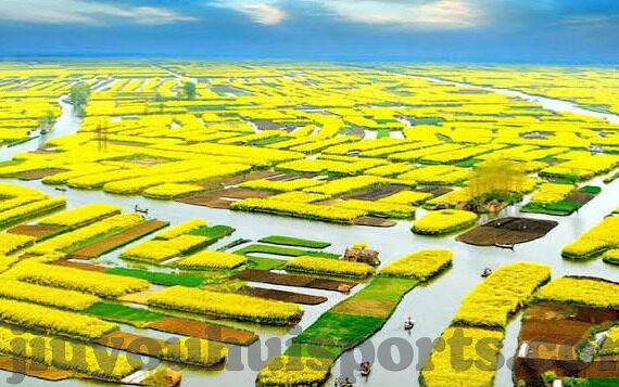 足球国际赛比分-绿茵烽火，足球国际赛比分的风云变幻与时代印记